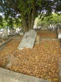 image of grave number 370254